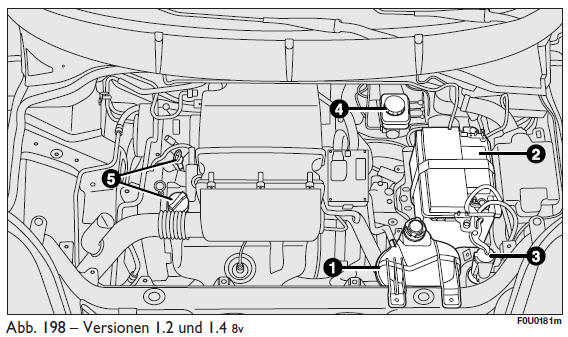 Fiat Punto. Kontrolle der füllstände